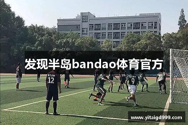 发现半岛bandao体育官方